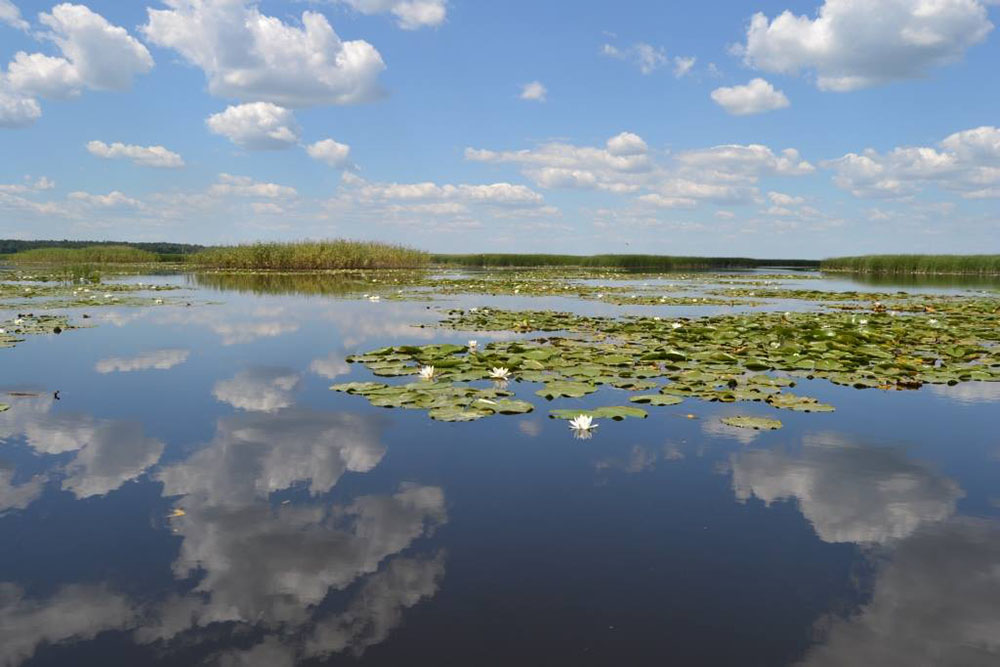 Ландшафт Полтавської області: природні заповідники та красоти