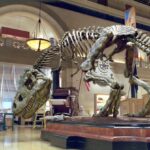 ТОП-10 найнезвичайніших музеїв України