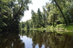 Ландшафт Полтавської області: природні заповідники та красоти